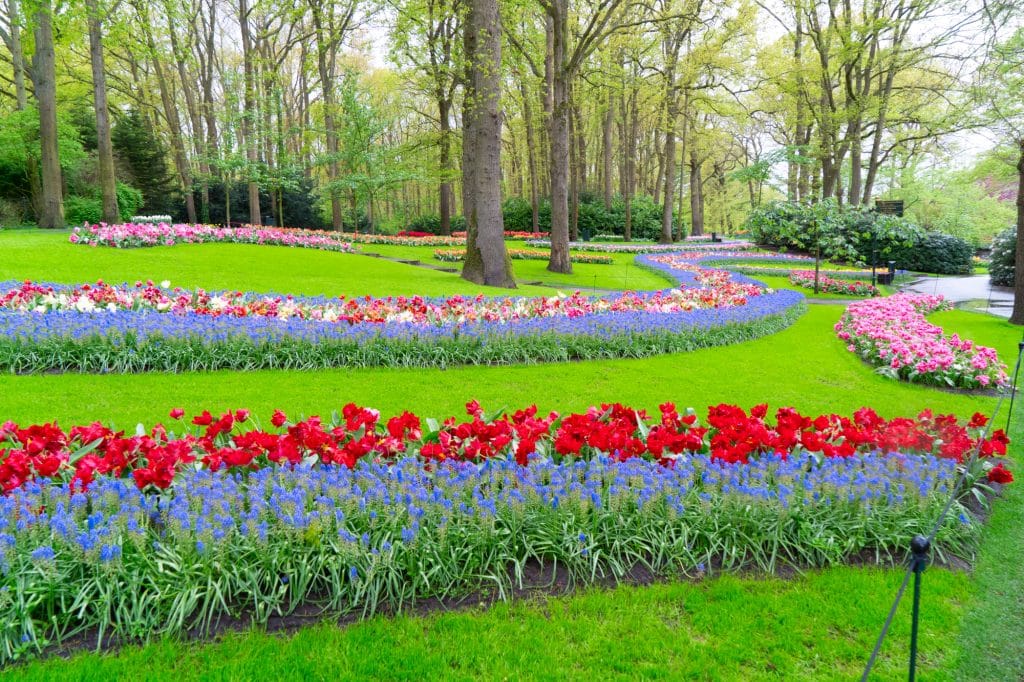 chiang rai asean flower festival 2024